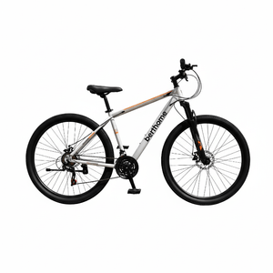Bicicleta Berthome R/29 MTB C/Suspensión Beige