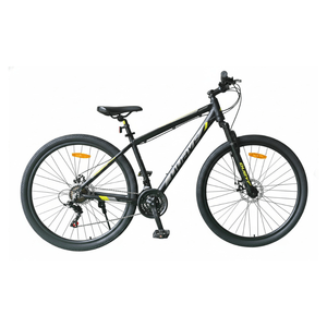 Bicicleta Duavf By Futura R/29 MTB 21 Velocidades